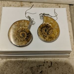 COPY - Ammonite fossil earrings, sterling silver